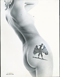 From the Archive of Willa Kim